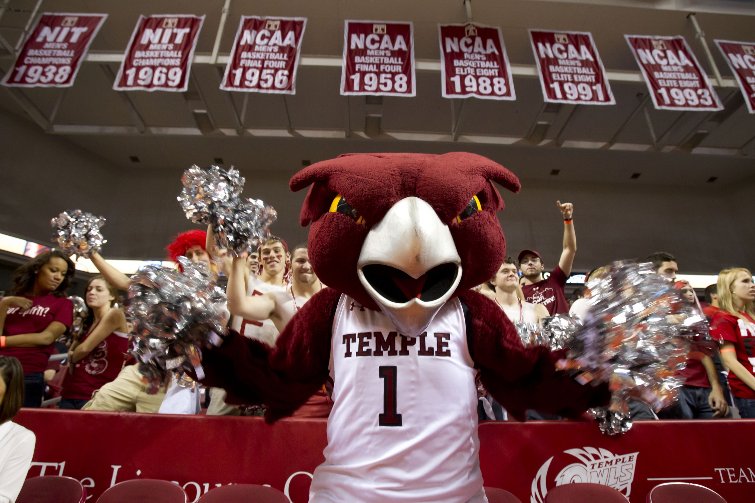 Hooter the Owl at a Temple basketball game.
