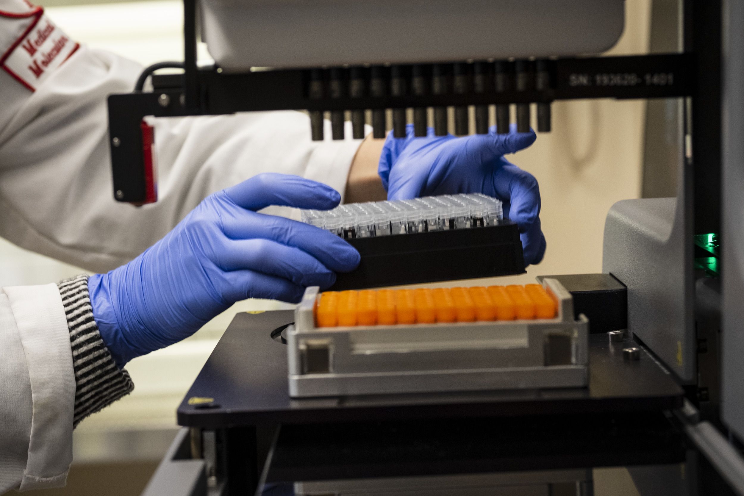 A technician places a tray carrying material used in COVID-19 testing.