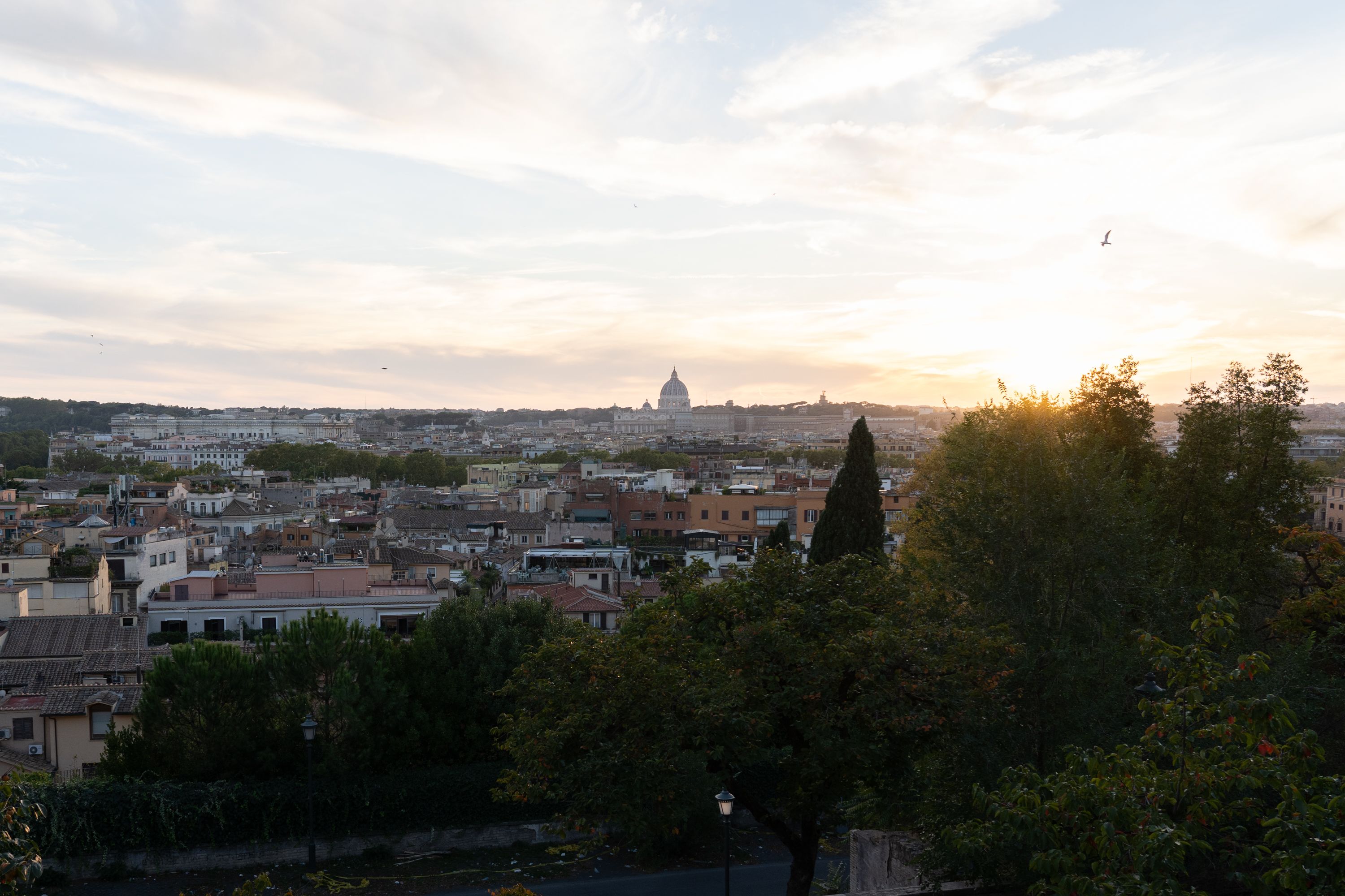 President Wingard in Italy